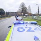 Fotka nr 2 z 4
