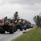 zdjęcie nr 30