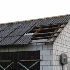 zdjęcie nr 8