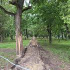 Fot: Materiały redakcyjne 