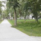 zdjęcie nr 8