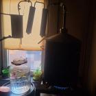 Fotka nr 1 z 3