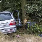 zdjęcie nr 9
