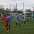 zdjęcie nr 8