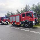 Fotka nr 4 z 6