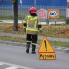 Fotka nr 2 z 20