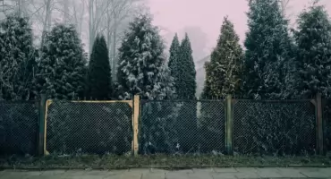 Jak przygotować teren przed montażem ogrodzenia panelowego?
