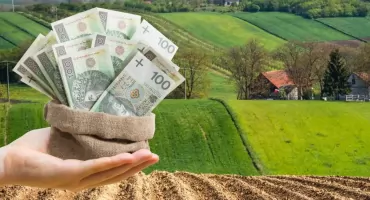 Dłuższy nabór wniosków. Rolnicy otrzymali więcej czasu