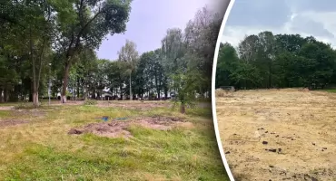Mieszkańcy zaniepokojeni wycinką drzew w parku Jarmołówka. Burmistrz wyjaśnia